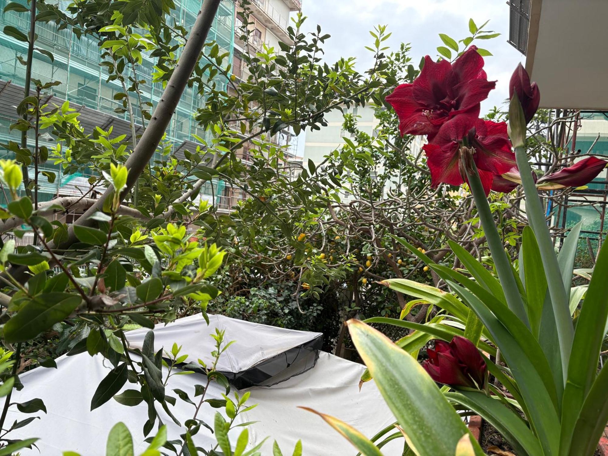 Penelope B&B Παλέρμο Εξωτερικό φωτογραφία