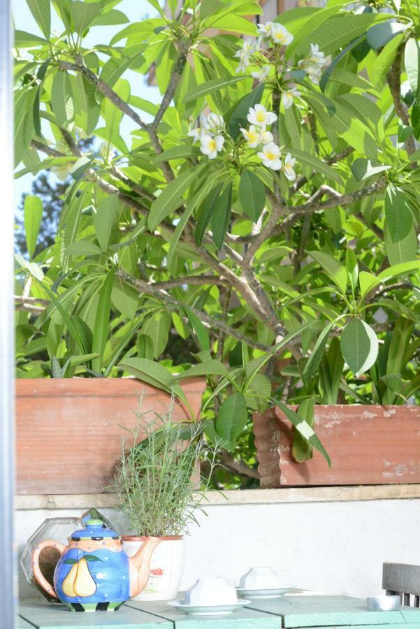 Penelope B&B Παλέρμο Εξωτερικό φωτογραφία